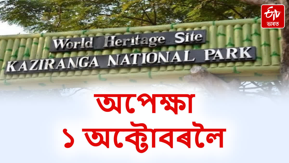 Kaziranga tourism year 2024-25