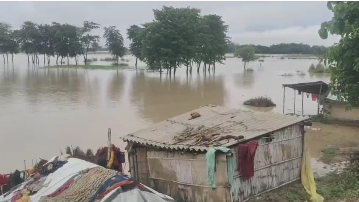 Flood in Bihar