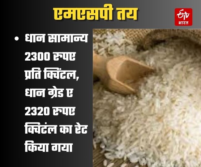 paddy-minimum-support-price-msp-in-up-yogi-government-announced-procurement-october-to-february-dhan-khareed latest news