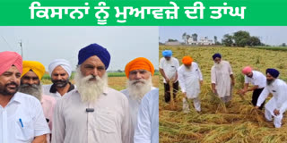 Farmers' crops were damaged due to unseasonal rain in amritsar