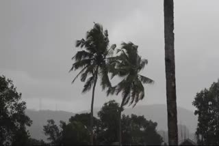 WEATHER UPDATES IN KERALA  കേരളത്തില്‍ മഴ കനക്കും  RAIN UPDATES IN KERALA  സംസ്ഥാനത്ത് ഒരാഴ്‌ച മഴ