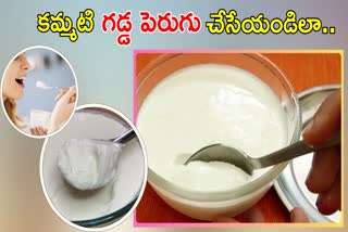 Thick Curd At Home