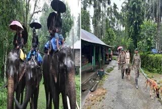 Jaldapara National Park