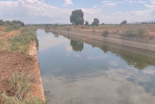 Somasila North Canal Breached