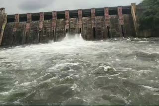 GANDHI SAGAR DAM OPEN 3 GATES