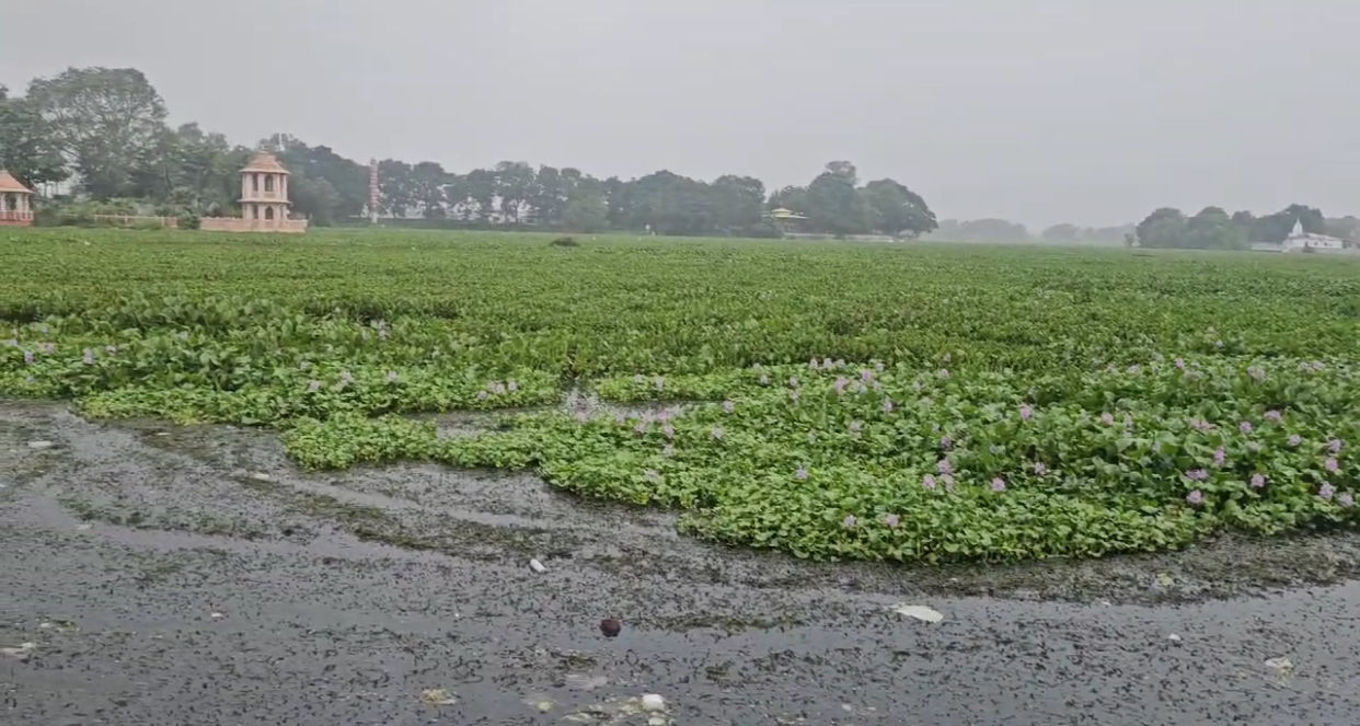 ગોમતી તળાવ