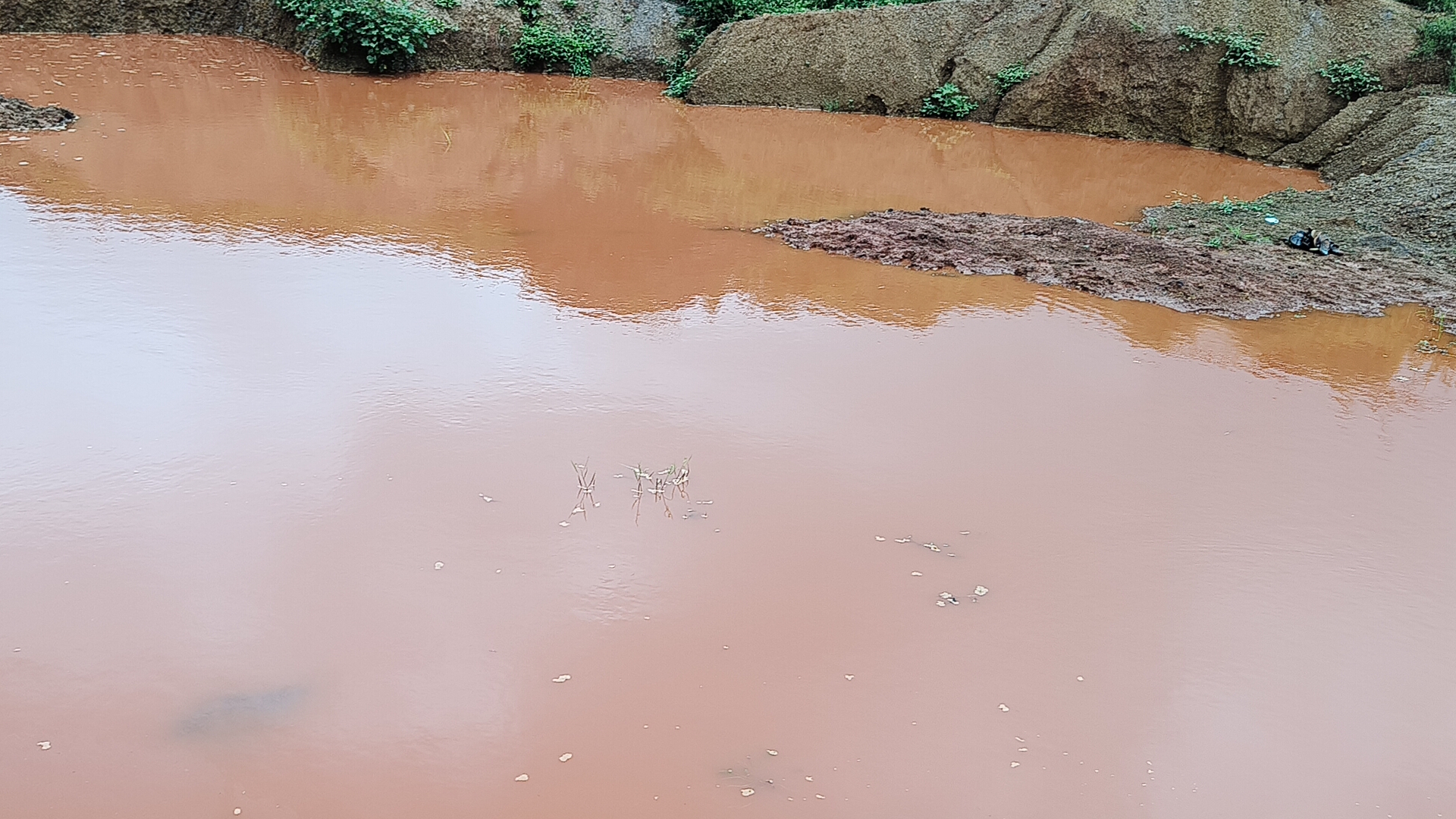 Shivpuri 3 Children Drowned Pit