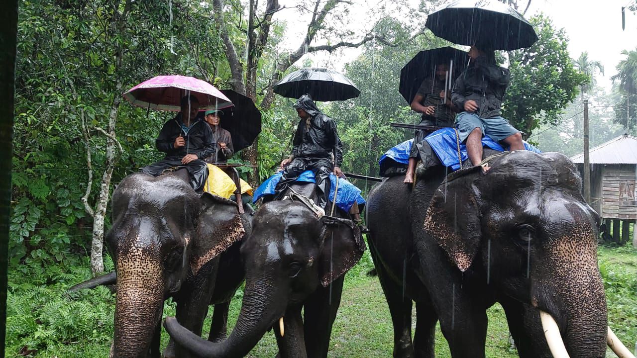 Jaldapara National Park