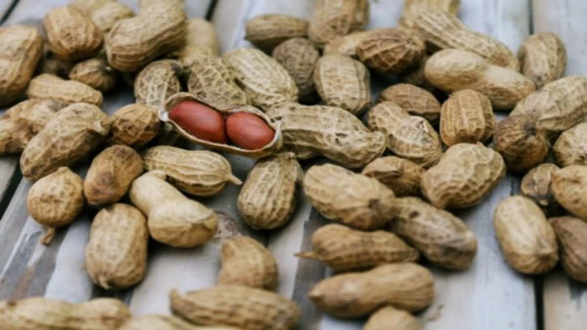 Peanuts Help in Fighting against Heart Disease