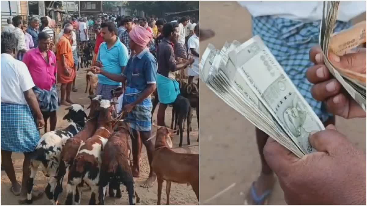 Pavoorchatram goat market