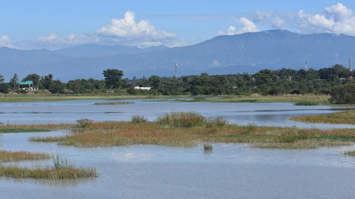 NASA-ISRO project Nisar who helps to know about forest-wetlands