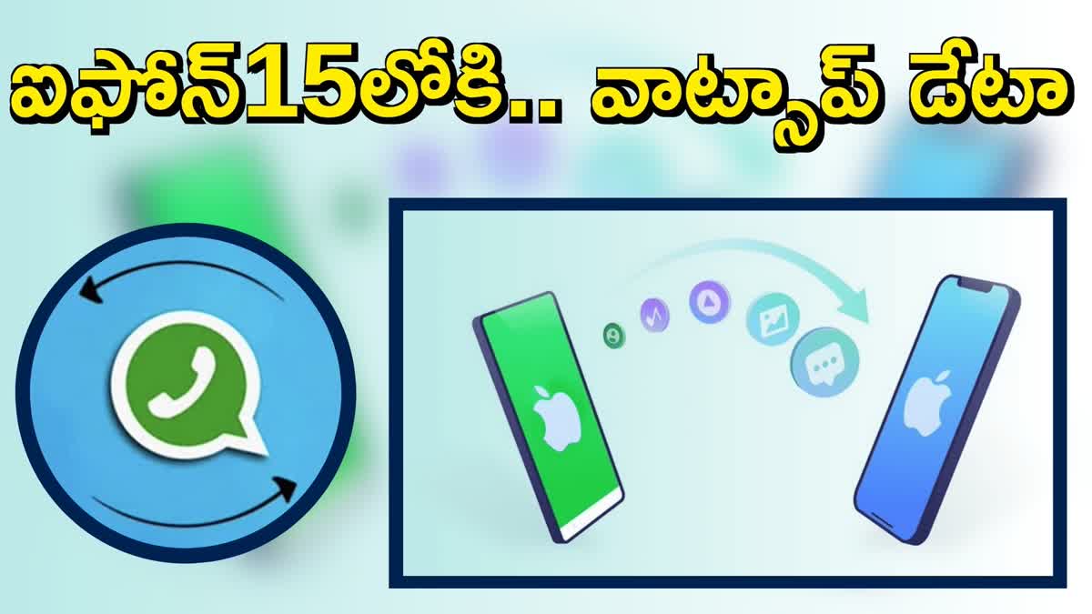 whatsApp Data Transfer from iPhone to iPhone 15