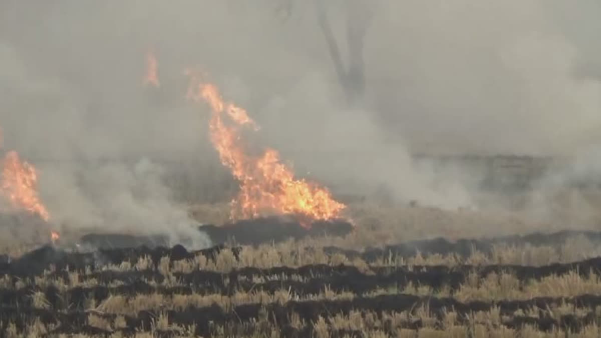 Most polluted in Ludhiana and Rupnagar districts of Punjab due to stubble burning