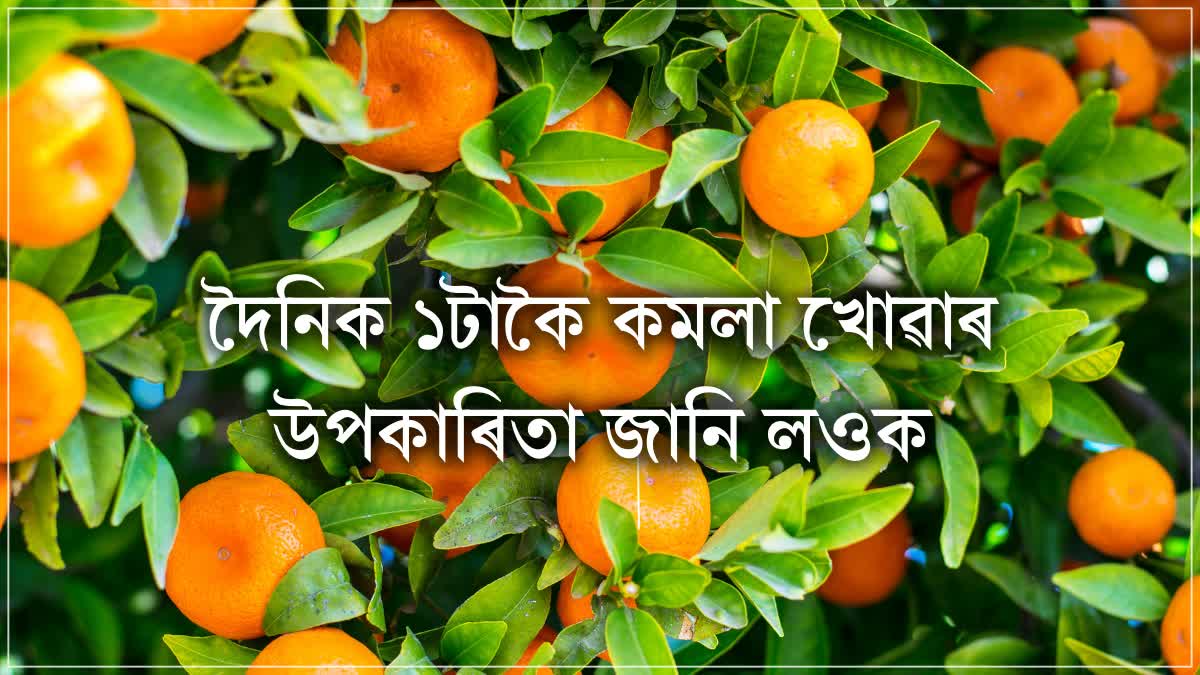 Eat one orange daily, your heart and skin will be healthy