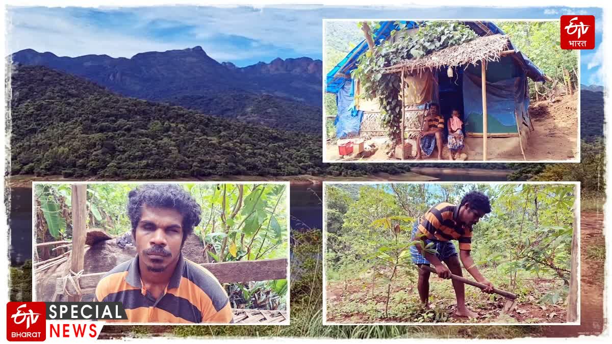 Blind Man Farming