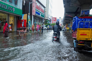 Kerala Weather Update  Weather Update  Kerala Rain Alert  Rain Alert In Kerala Today  Kerala Rain  മഴ  കേരളത്തിലെ മഴ  മഴ മുന്നറിയിപ്പ്  ഇന്നത്തെ കാലാവസ്ഥ പ്രവചനം  യെല്ലോ അലര്‍ട്ട് മുന്നറിയിപ്പുകള്‍