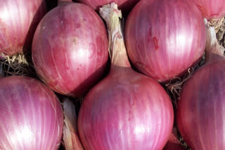know the price of onion in Delhi