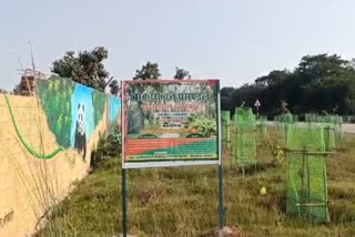 Parks will built on side of highway under Nagar Van Yojana in Bokaro