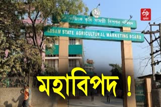 Assam State Agricultural Marketing Board