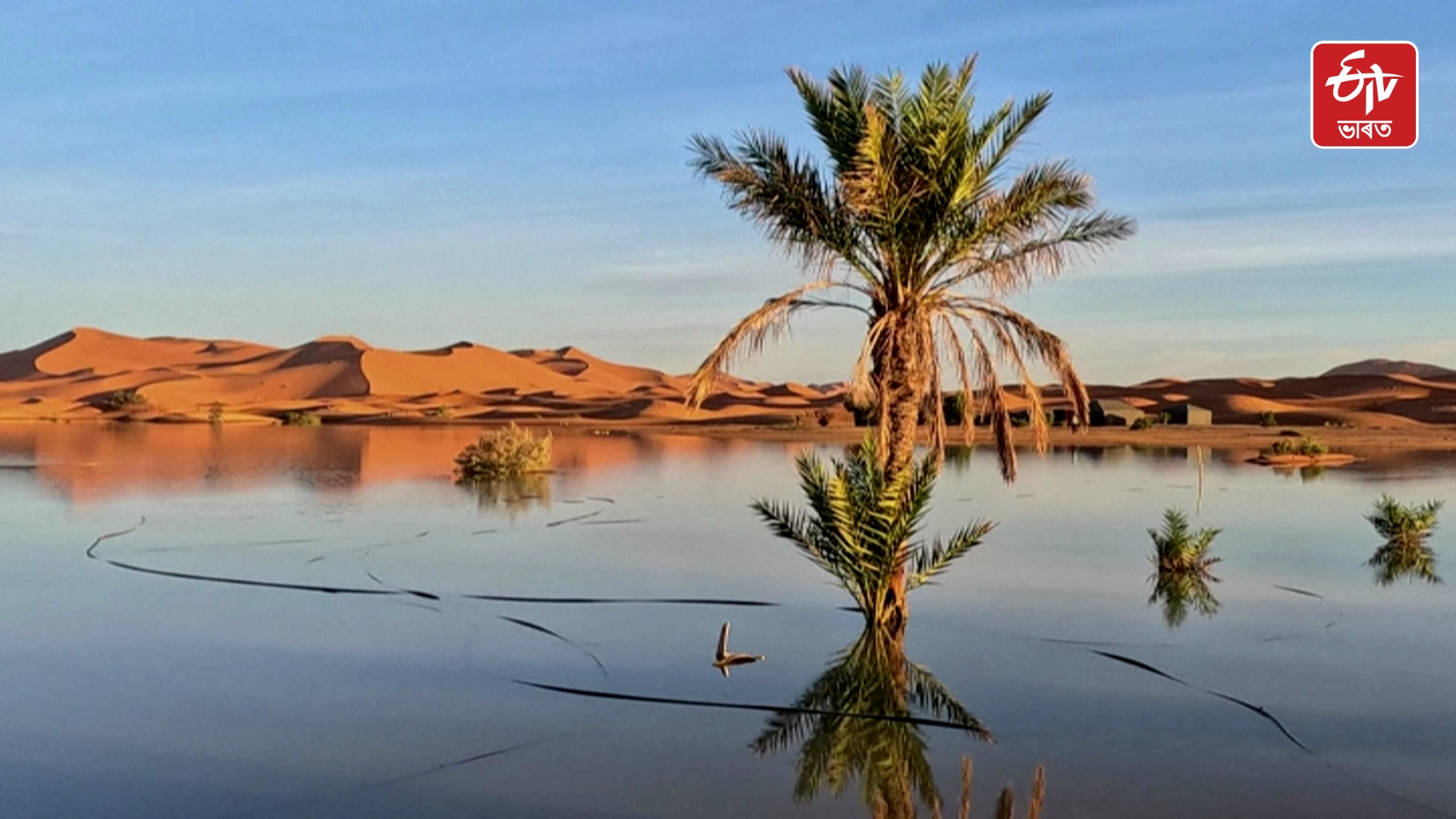 Rare Sahara Floods