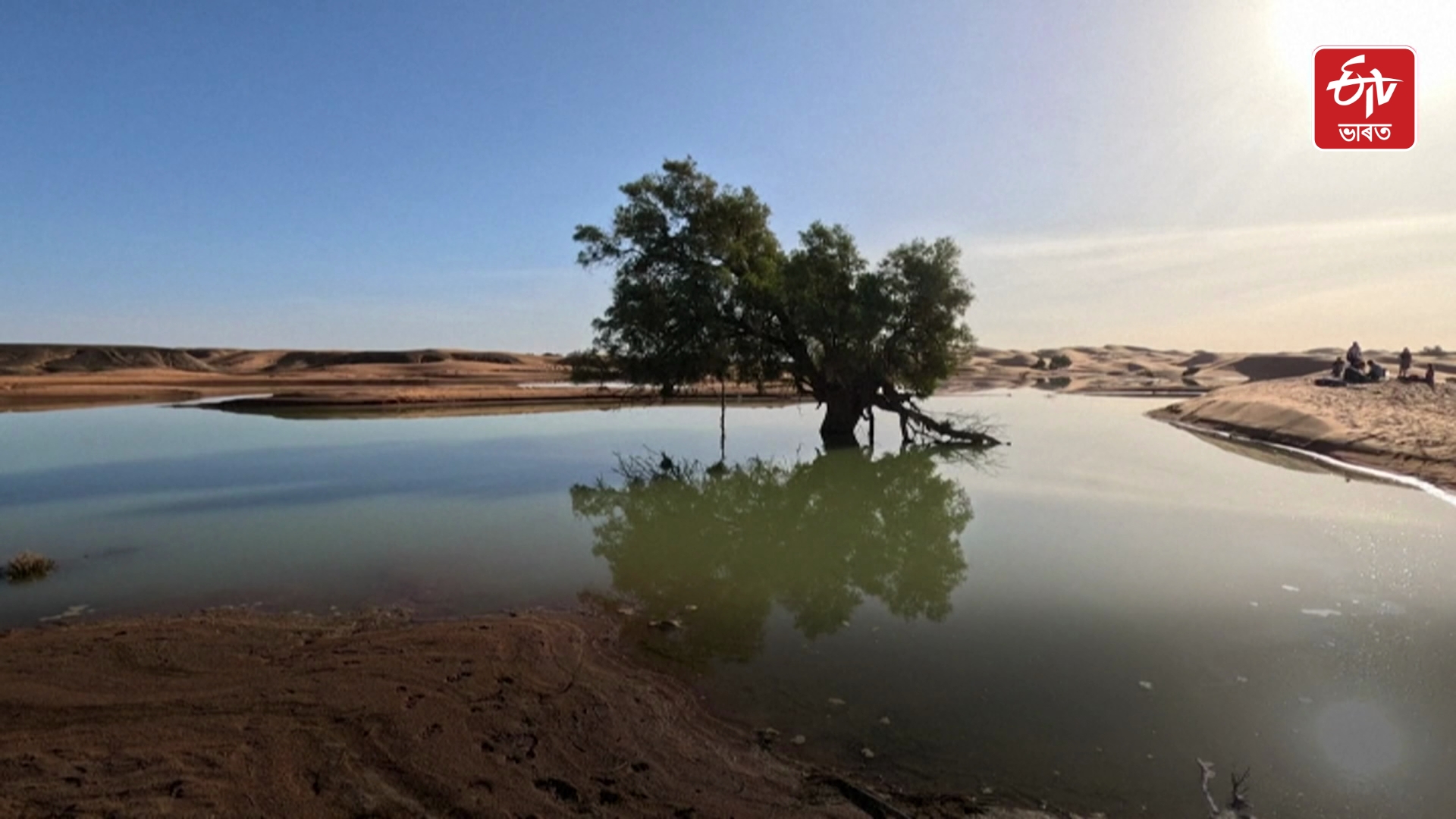 Rare Sahara Floods