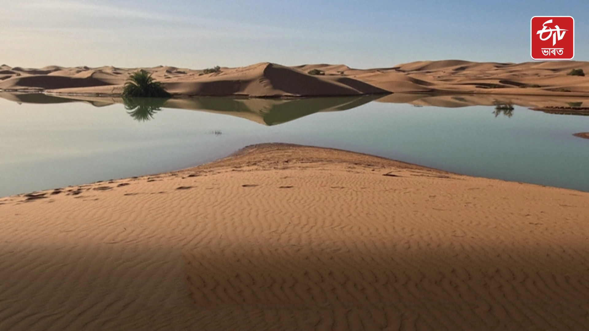 Rare Sahara Floods