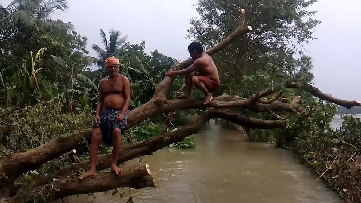 Post Cyclone Situation In Balasore