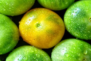 GREEN TOMATOES HEALTH BENEFITS and nutrition in TOMATOES