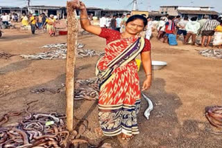 rare-fish-caught-fisherman-net-in-kakinada-coastal-area-andhra-pradesh-news