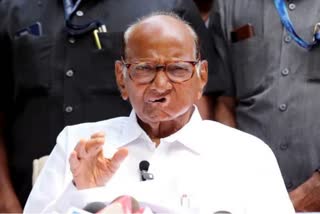 Consensus In MVA Over 90 To 95 Per Cent Seats, Says Sharad Pawar