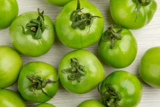 GREEN TOMATOES HEALTH BENEFITS  GREEN TOMATO  HEALTH BENEFITS OF GREEN TOMATO  GREEN TOMATO FOR HEALTH