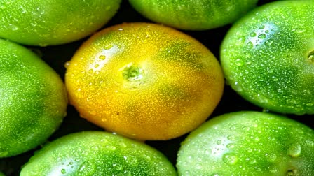 GREEN TOMATOES HEALTH BENEFITS and nutrition in TOMATOES