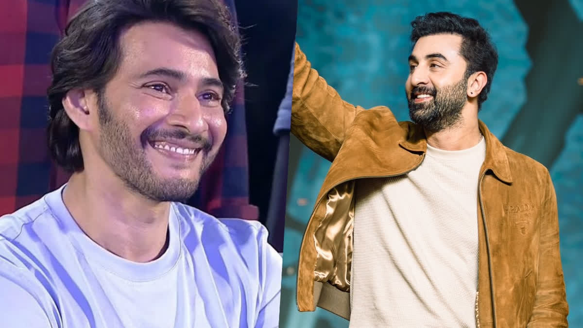 Watch: Mahesh Babu says Ranbir Kapoor is the best actor, latter chants 'Jai  Babu' at Animal pre-release event,  watch-mahesh-babu-says-ranbir-kapoor-is-the-best-actor-latter-chants-jai-babu-at-animal-pre-release-event