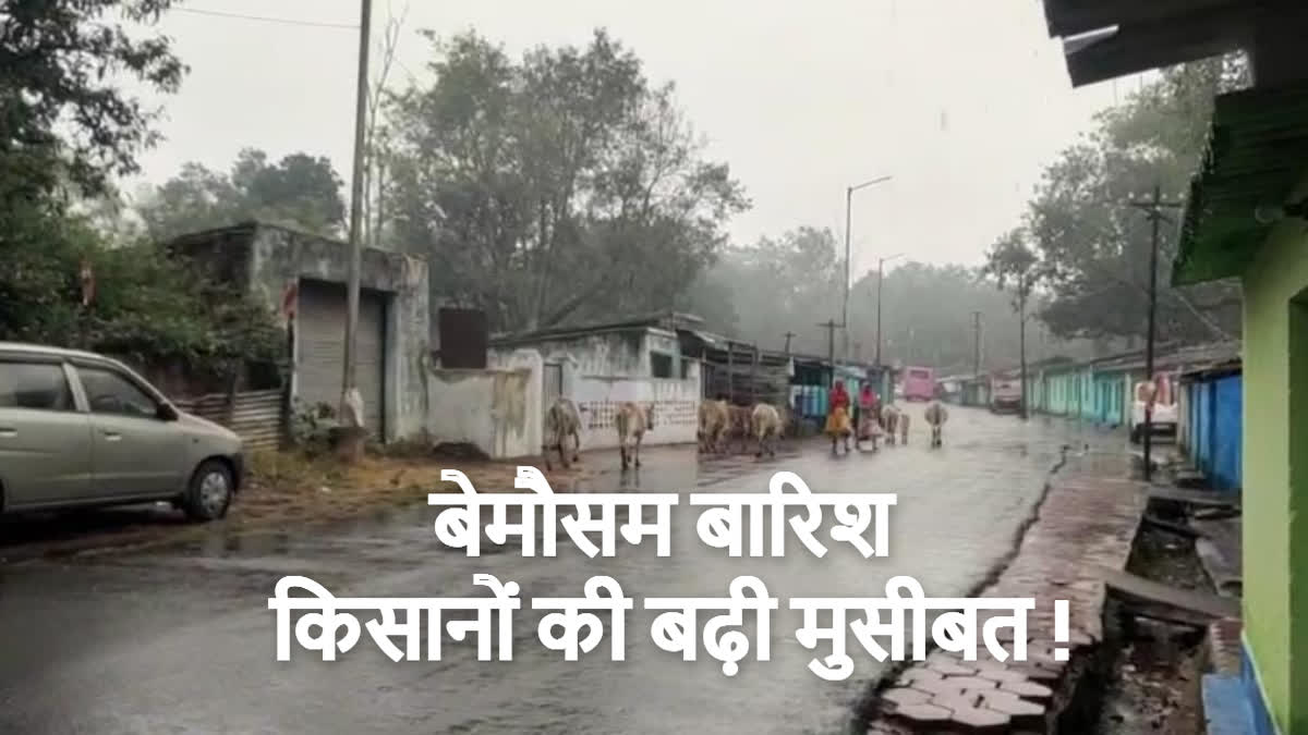 Chhattisgarh weather today