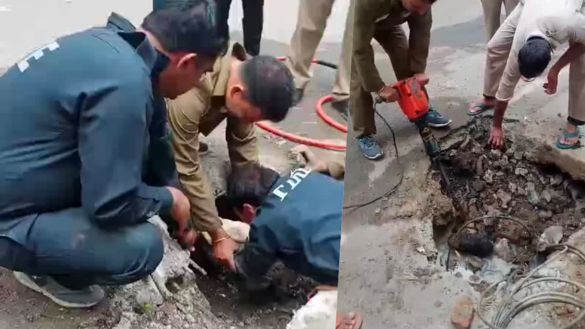 फायर कर्मियों ने ड्रिल से पत्थर काट बेजुबान कुत्ते की बचाई जान