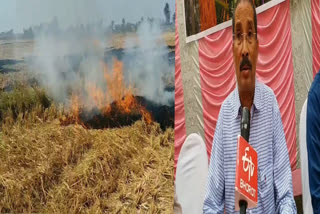 BURNING PADDY HARVEST IN PATNA