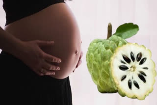 Pregnancy  Custard Apple  Benefits Of Eating Custard Apple  കസ്റ്റാർഡ് ആപ്പിൾ  സീതപ്പഴം  seethapazham  ഗര്‍ഭിണികള്‍  fruits benefits in pregnancy  fruit you should eat during pregnancy  nutritional benefits of Custard Apple