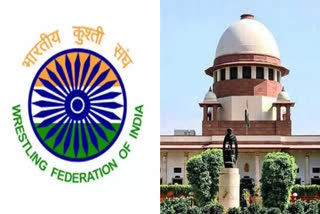 The Supreme Court on Tuesday set aside the Punjab and Haryana High Court order, which imposed a stay on the holding of elections to the Wrestling Federation of India (WFI). A bench comprising justices Abhay S Oka and Pankaj Mithal noted that the pending writ petition filed by the Haryana Wrestling Association, by an interim order the High Court had stayed the election of WFI. The apex court said it failed to understand how the entire process of the election could have been set at naught by the high court.
