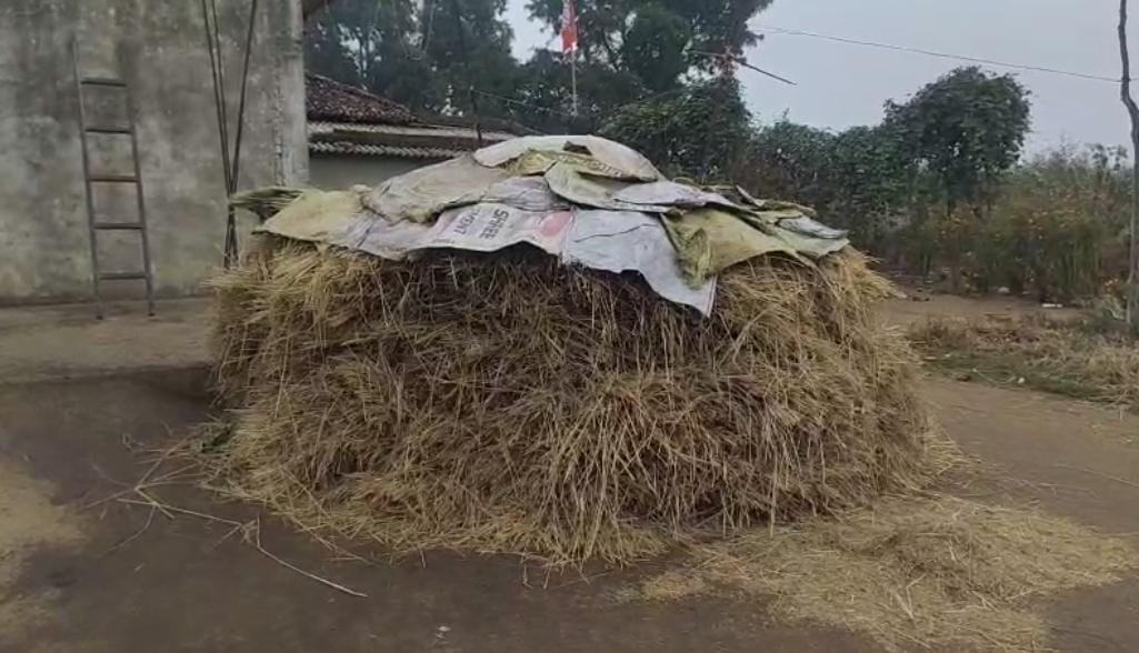 Chhattisgarh Weather Today