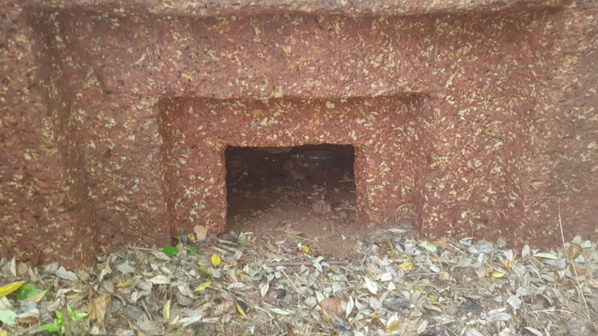 മഹാശിലാ സംസ്‌കാരം കാസർകോട്  MEGALITHIC CULTURE  PETROGLYPH OF SNAKE IN KASARAGOD  കാസർകോട് ചെങ്കല്ലറകൾ