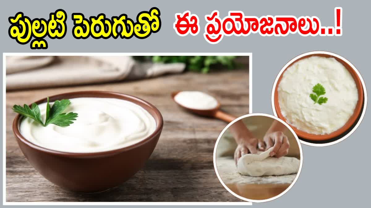 How to Use Sour Curd at Home