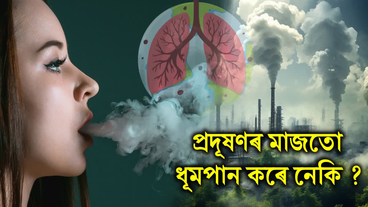 What Happens To Lungs If You Smoke In Air Pollution: research