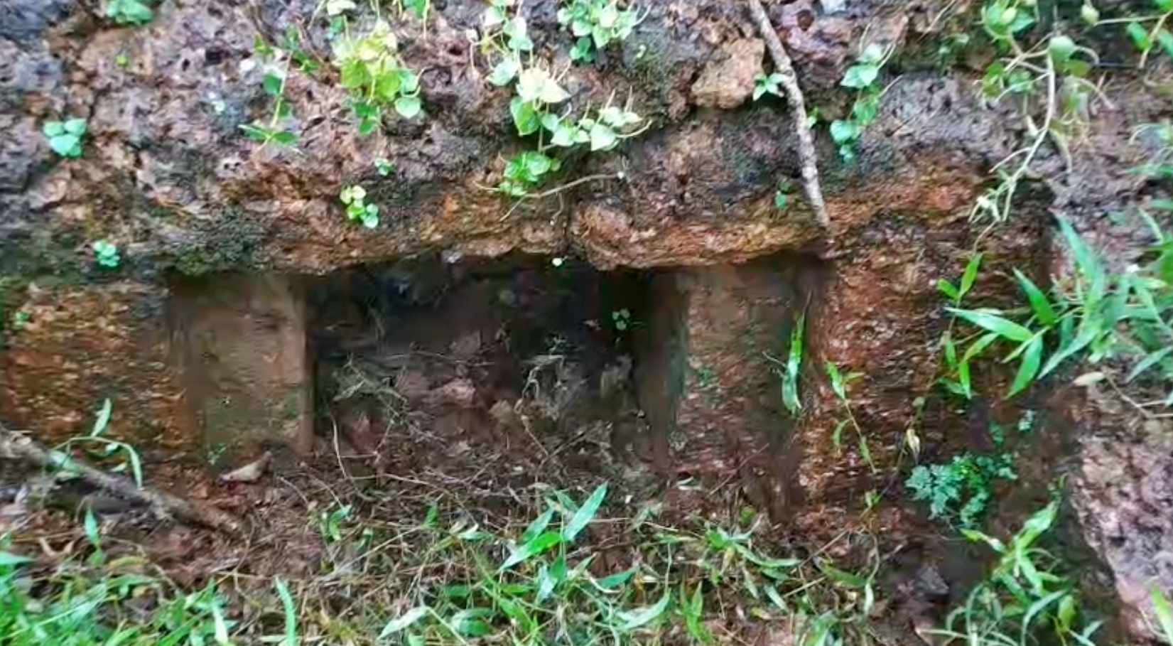 മഹാശിലാ സംസ്‌കാരം കാസർകോട്  MEGALITHIC CULTURE  PETROGLYPH OF SNAKE IN KASARAGOD  കാസർകോട് ചെങ്കല്ലറകൾ