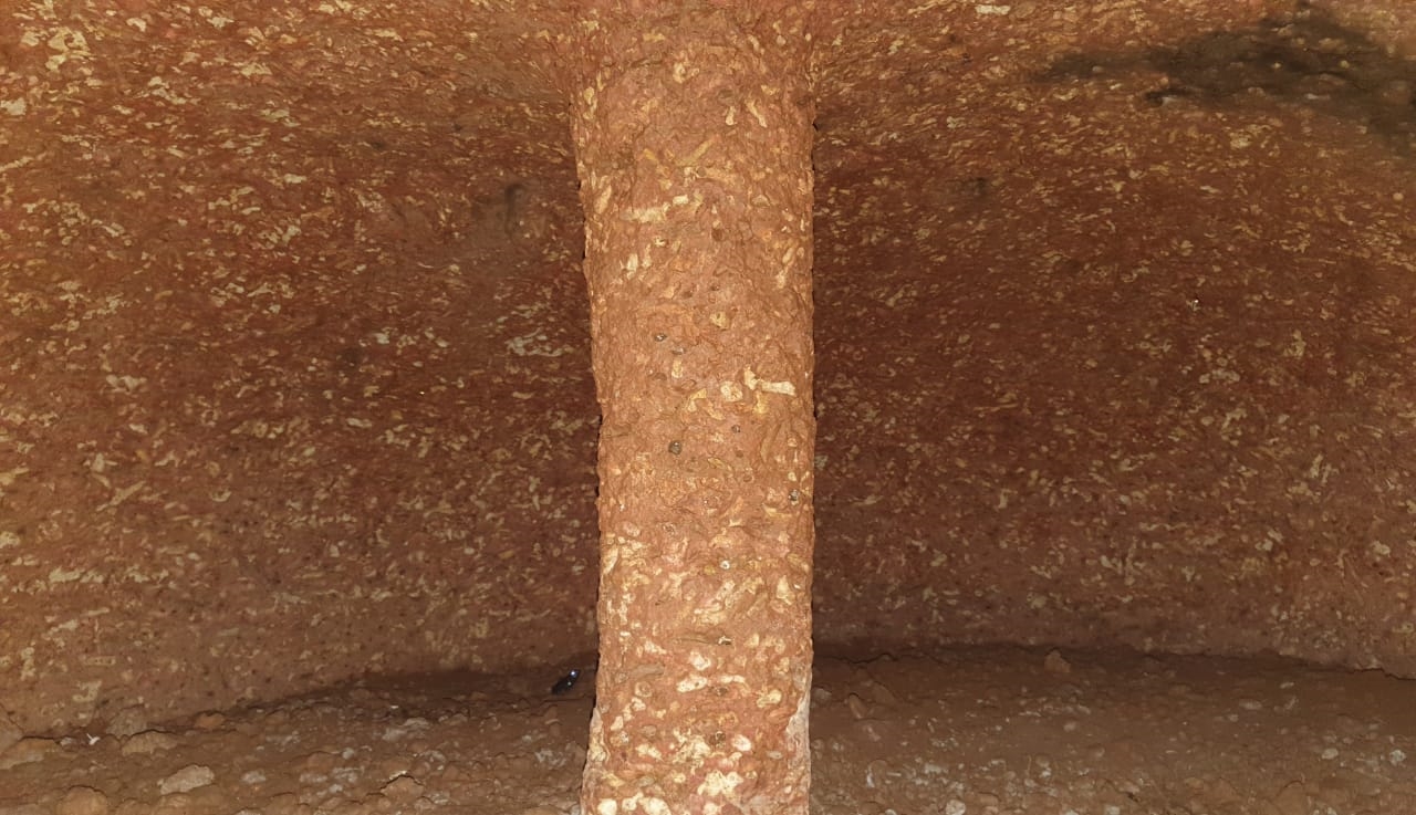 മഹാശിലാ സംസ്‌കാരം കാസർകോട്  MEGALITHIC CULTURE  PETROGLYPH OF SNAKE IN KASARAGOD  കാസർകോട് ചെങ്കല്ലറകൾ