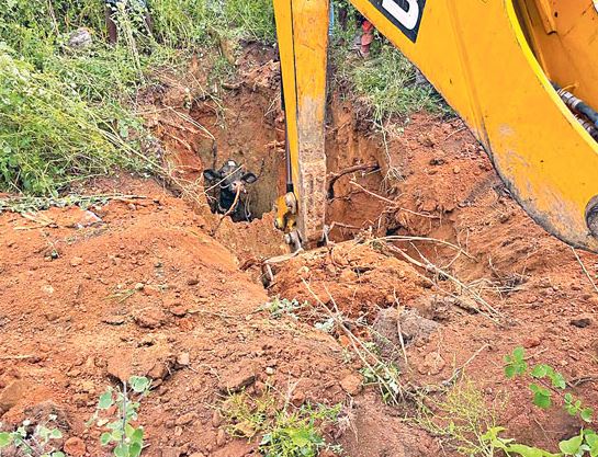 cow-rescued-from-well