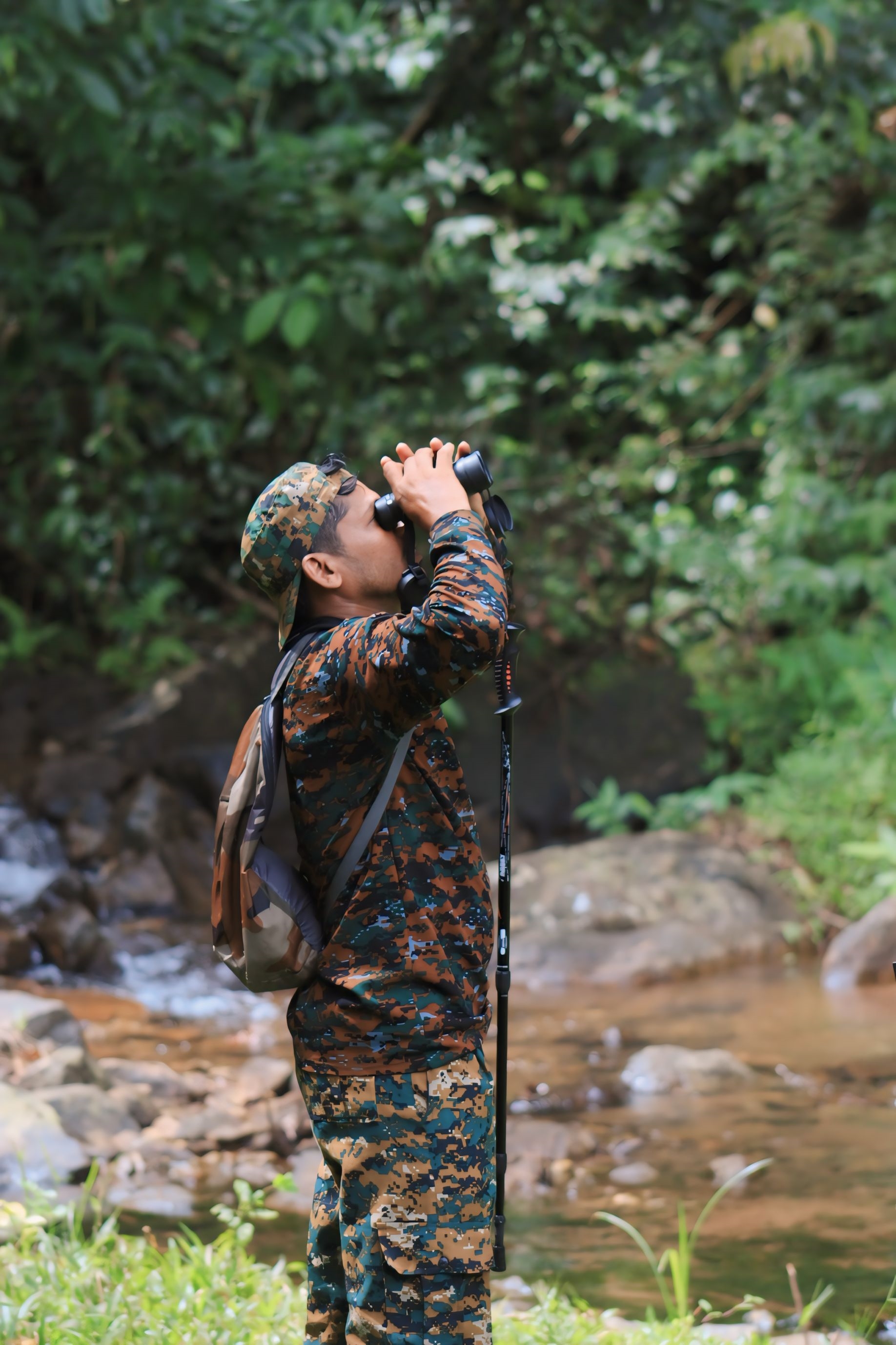 BIRD VILLAGE  പക്ഷിഗ്രാമം കിദൂർ  E BIRD  BIRDS IN KIDOOR