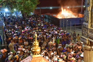 SABARIMALA PILGRIMAGE NEWS  SABARIMALA FOOD SAFETY DEPT  ശബരിമല പരിശോധന  ശബരിമല ഭക്ഷ്യസുരക്ഷാ വകുപ്പ്