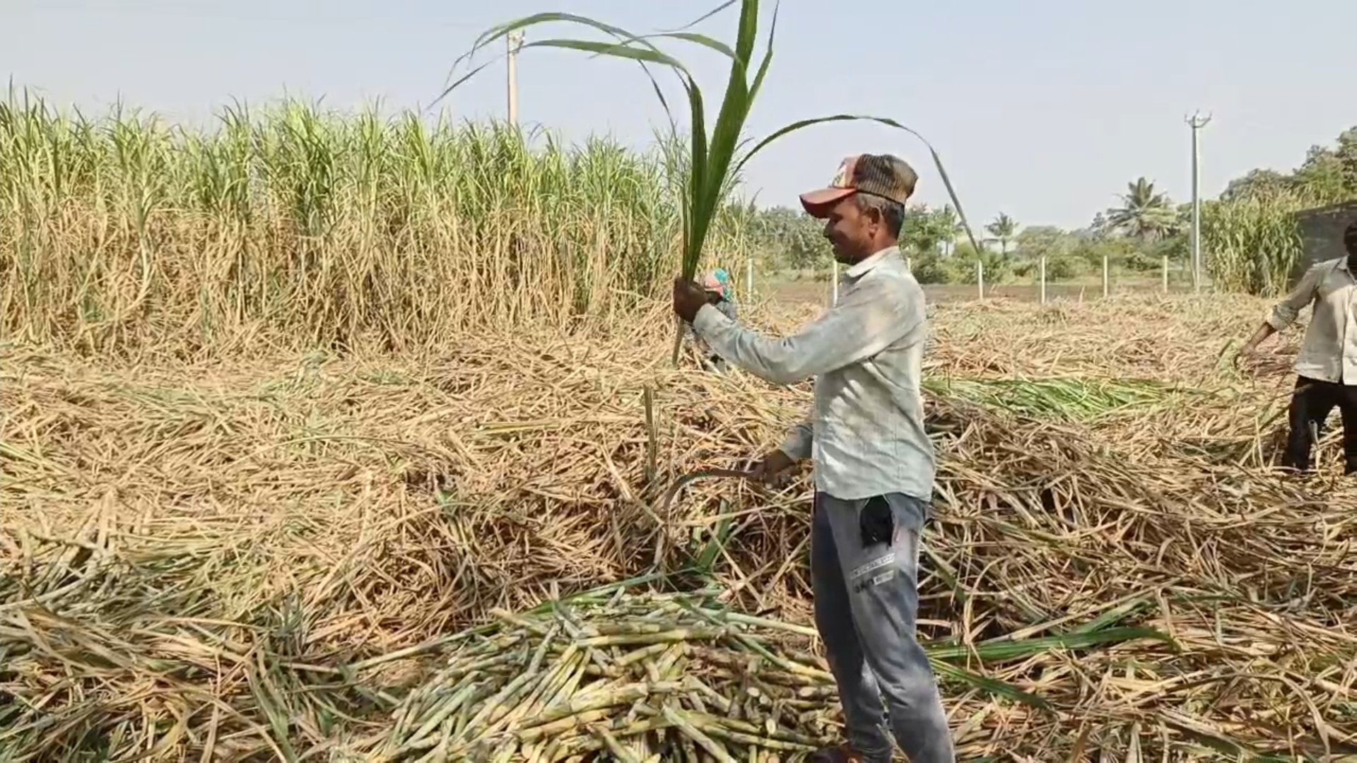 ખેડૂતોમાં ખુશી