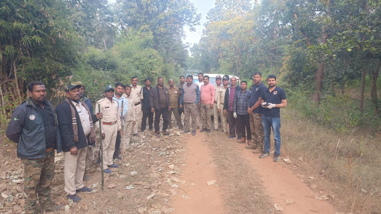 Noose On tiger neck in Bandhavgarh