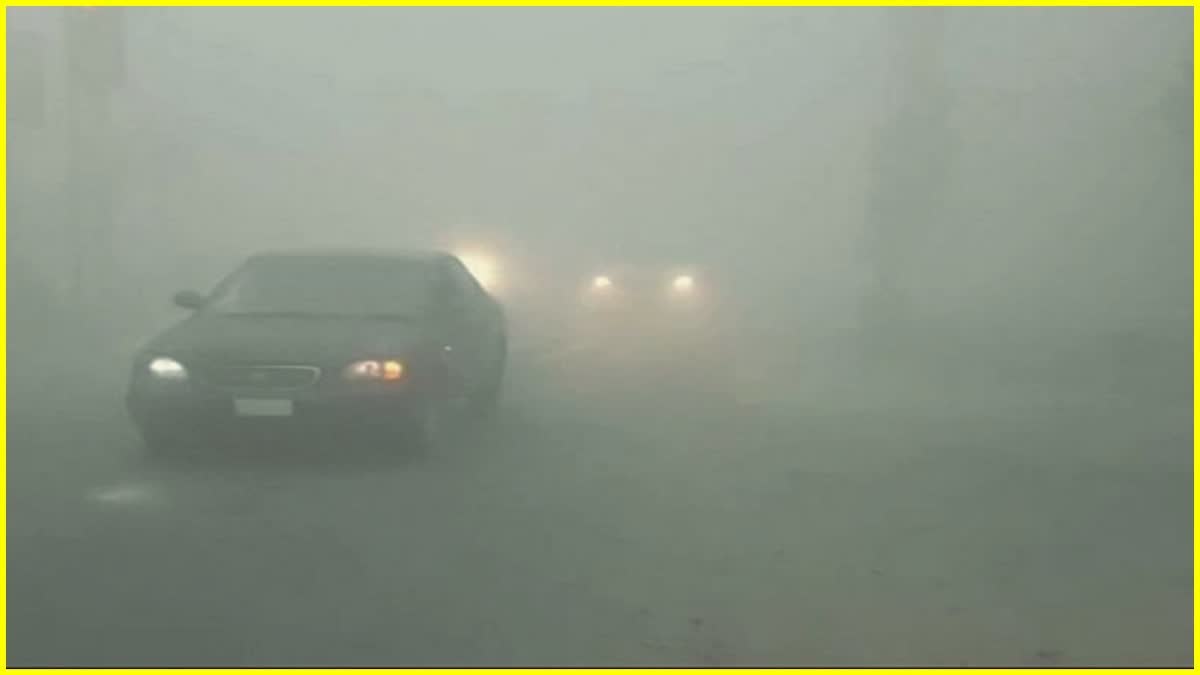 Fog Red Alert In Haryana
